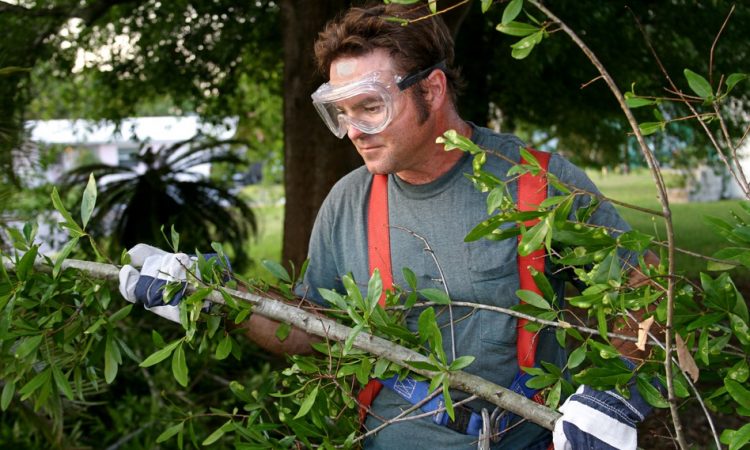 Arbeitssicherheit Gartenarbei Arbeitsschutz